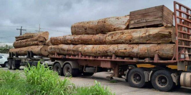 Carreta com toras de madeira e sem nota fiscal é apreendida na BR-364