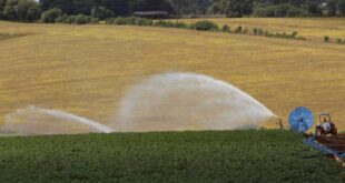 Projeto abre crédito de R$ 2,5 milhões para apoiar pequenos e médios produtores rurais