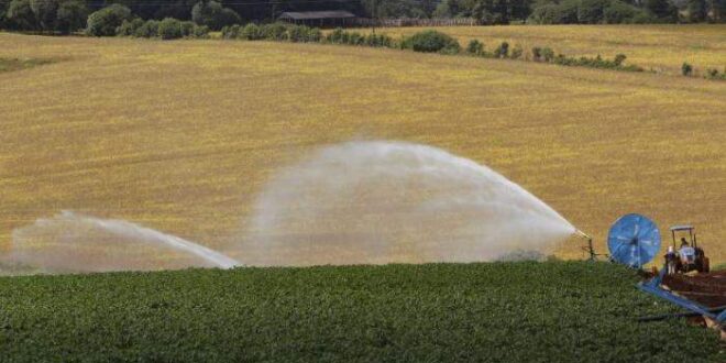 Projeto abre crédito de R$ 2,5 milhões para apoiar pequenos e médios produtores rurais