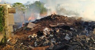 Rio Branco registra mais de mil ocorrências de queimadas urbanas