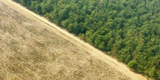 Amazônia tem mais de 3 milhões de km de estradas clandestinas, indica estudo