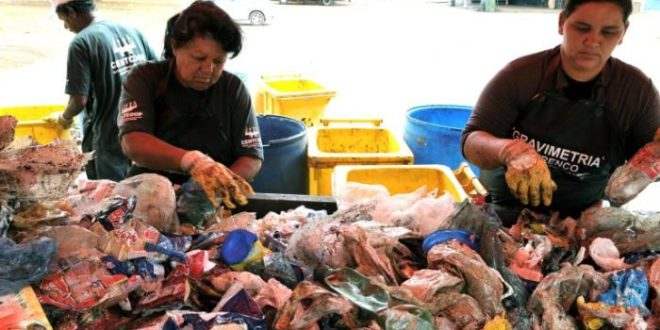 Após derrubada de veto, catadores e empresários comemoram novos incentivos à reciclagem