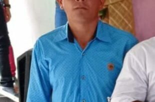 Homem morre em acidente com derrubada de árvore no Acre