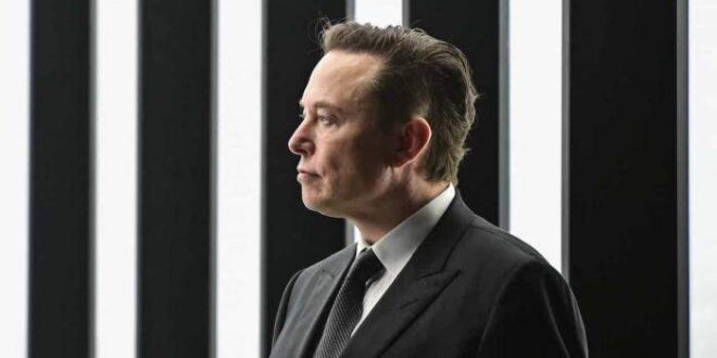 Mãe de Elon Musk dorme na garagem quando visita filho bilionário