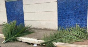 Temporal na Capital causou 28 ocorrências com danos materiais, diz Corpo de Bombeiros