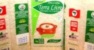 MST passa a vender arroz orgânico com desconto após fala de Lula no JN