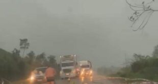 Árvore cai no meio da estrada e interrompe tráfego entre Manoel Urbano e Feijó- veja o vídeo