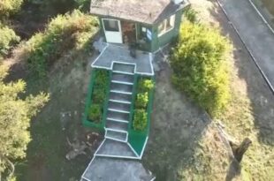 Soldados de Taiwan tentam derrubar drone militar da China a pedradas- vídeo