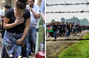 Hungria reabre centro de estudos ciganos e dá um passo no combate ao preconceito e ao esquecimento do holocausto Romani