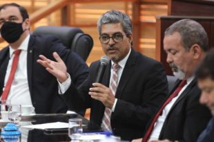 Emenda de Edvaldo ao Orçamento da Sepa vai permitir a compra de mais de 833 mil mudas de café para a Agricultura Familiar