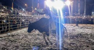 Expoacre Juruá tem 3 dias de rodeio e UFC