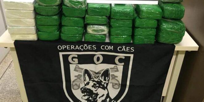 Polícia apreende aproximadamente 30 quilos de drogas na fronteira do Acre