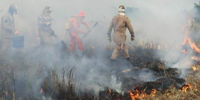 Corpo de Bombeiros lança Brigadas Comunitárias para combate a incêndios florestais