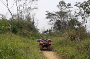Homem é encontrado morto em ramal de Sena Madureira; “Amigo” é suspeito do crime