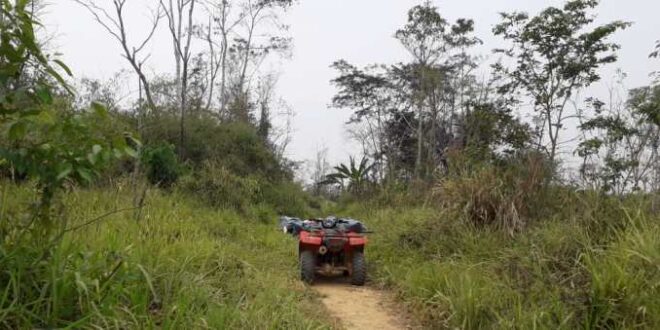 Homem é encontrado morto em ramal de Sena Madureira; “Amigo” é suspeito do crime