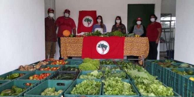 MST vai fornecer alimentação à mulher que teve comida negada por comerciante anti-Lula
