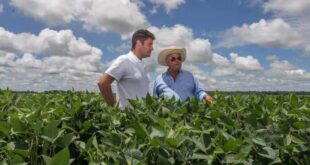 Com investimentos do governo Gladson, produção rural do Acre vem batendo recordes