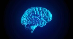 Saiba como é que o stress pode afetar o sistema imunológico