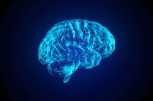Saiba como é que o stress pode afetar o sistema imunológico