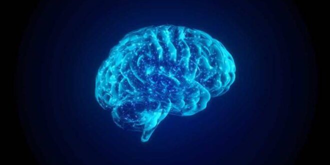 Saiba como é que o stress pode afetar o sistema imunológico