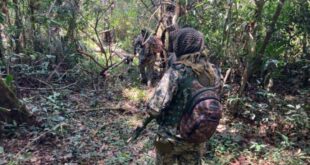 Polícia resgata mulher vítima de sequestro e cárcere privado