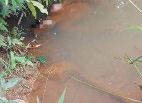 Acreano é encontrado morto dentro de igarapé em Rondônia; IMAGENS FORTES