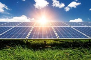 Aumento do consumo de energia solar traz projeções otimistas ao setor