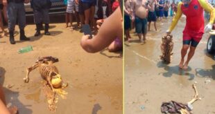 Banhistas encontram esqueleto humano em praia do Rio Negro, no AM