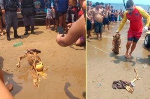 Banhistas encontram esqueleto humano em praia do Rio Negro, no AM
