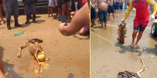 Banhistas encontram esqueleto humano em praia do Rio Negro, no AM