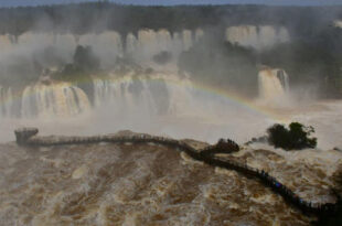 Turista canadense morre ao tentar tirar selfie nas Cataratas do Iguaçu