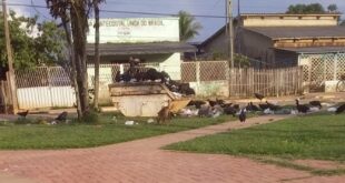 Moradores reclamam de atraso da coleta de lixo em Sena Madureira