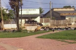 Moradores reclamam de atraso da coleta de lixo em Sena Madureira