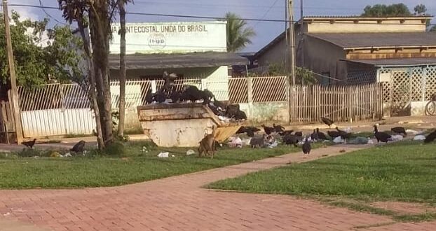 Moradores reclamam de atraso da coleta de lixo em Sena Madureira