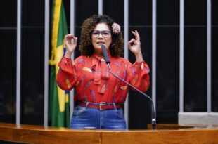 Perpétua agradece votos e critica regras que prejudicam políticos bem votados