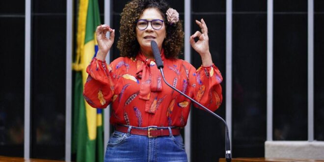 Perpétua agradece votos e critica regras que prejudicam políticos bem votados