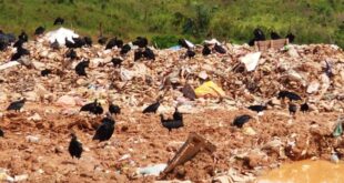 Prefeitura de Tarauacá é multada em R$ 1,5 milhão por não implementar medidas de remediação do lixo 