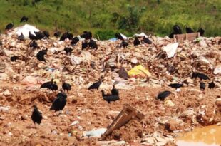 Prefeitura de Tarauacá é multada em R$ 1,5 milhão por não implementar medidas de remediação do lixo 