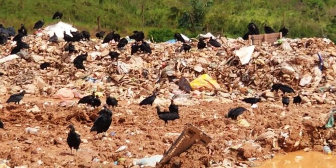 Prefeitura de Tarauacá é multada em R$ 1,5 milhão por não implementar medidas de remediação do lixo 