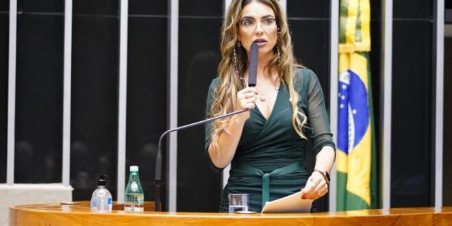 Câmara aprova projeto de combate à violência contra a mulher