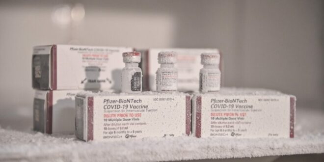 Agendamento de vacinas Pfizer Baby para bebês sem comorbidade inicia nesta quarta-feira, 23