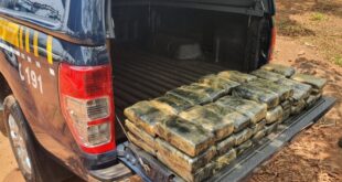 Mais de 60 kg de cocaína são apreendidos em veículos transportados por caminhão cegonha na BR-364