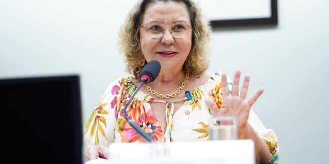 Entidades defendem centros de assistência integral no SUS para pessoas com autismo