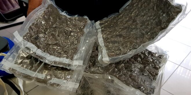 Polícia Civil apreende mais de 20kg de Maconha do tipo Skank, em Rio Branco