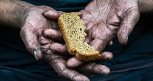 Alta da cesta básica é generalizada e alimentos ficam ainda mais caros