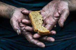 Alta da cesta básica é generalizada e alimentos ficam ainda mais caros