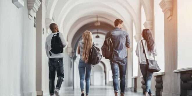 Seis de cada dez universitários entram em cursos a distância
