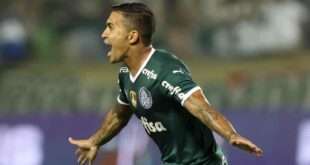 Dudu erguerá taça em seu 400º jogo pelo Palmeiras: 'Espero completar 800'