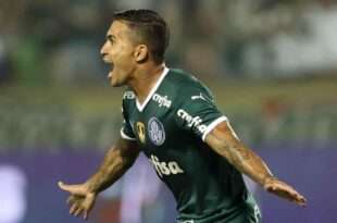 Dudu erguerá taça em seu 400º jogo pelo Palmeiras: 'Espero completar 800'