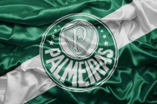 Palmeiras vai para sua 73ª partida em 2022 em busca do título brasileiro